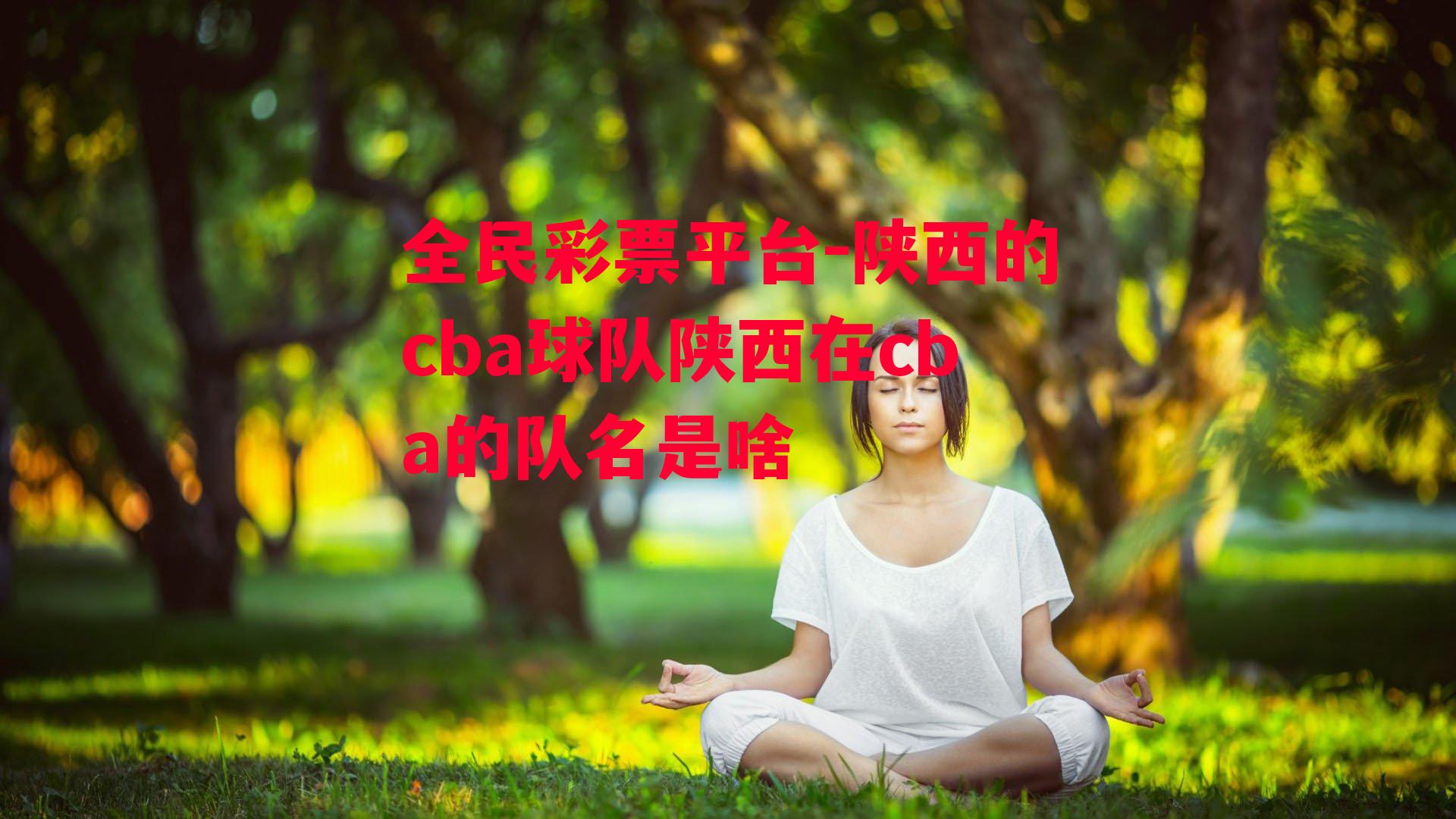 陕西的cba球队陕西在cba的队名是啥